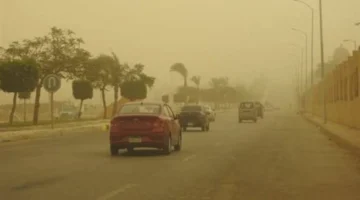 طقس متقلب.. رياح مثيرة للأتربة تضرب القاهرة ودرجات الحرارة تسجل 14 صغرى